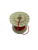 Remove-bg.ai_1737282535879
