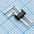 ds1022_2x1r